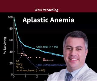 4.1K views · 18 reactions | What is Aplastic Anemia? How can it be treated? Dr. Phillip Scheinberg explains what patients and their families need to know about this Bone Marrow Failure Disease. Watch the recording here: https://aamds.org/webinar/2025-rockville-patient-and-family-conference-session-aplastic-anemia | Aplastic Anemia and MDS International Foundation | Facebook