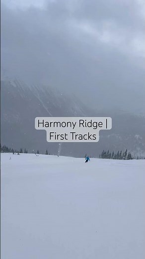 POV #Snowboarding Harmony Ridge First Tracks | Whistler Blackcomb #skiingisfun #whistlerbc