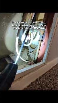 Older homes typically have older home problems.