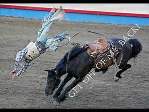 Equestrian - Get off of my back