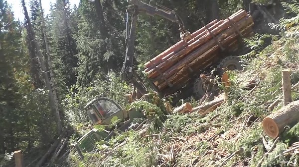 John Deere Conquers Steep Slopes with Unmatched Logging Power