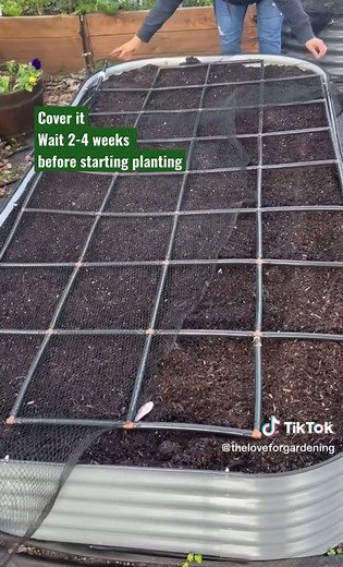 Preparing a Raised Garden Bed for Spring Planting