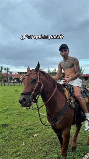 #costarica🇨🇷 #tirri #viral