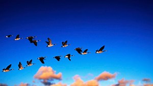 Digital Transformation, Part 6: Examples of digital transformation done right