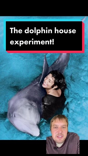 Reply to @dexter.mp4 The dolphin house experiment! #history #learneclecticthings #experiment #learnontiktok