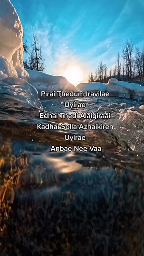 Springwell on TikTok