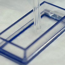 Video: Visualization of Craniofacial Development in the sox10: kaede Transgenic Zebrafish Line Using Time-lapse Confocal Microscopy