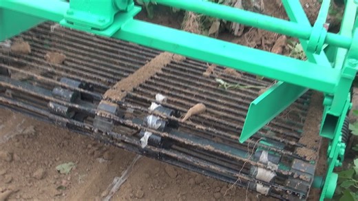 Agriculture Tract PTO Driven Tractor Small 2 Rows Potato Harvester Machine Potato Digger with CE