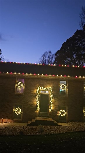 19 reactions | The little lights are twinkling now Art . C9 twinkle bulbs now available at Leesville Landscape Supplies! https://youtu.be/nsaxNehMibg?si=pHSRNn6N3hmn9x3U | Leesville Landscape Supplies | Facebook