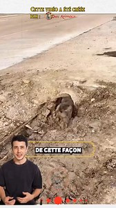 Le Secret Caché Dans Le Drain ! 😱💧 #france | Des Animaux