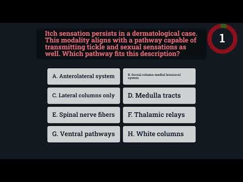 USMLE-1 Sensory Pathways Dorsal Column Medial Lemniscal vs Anterolateral System base video