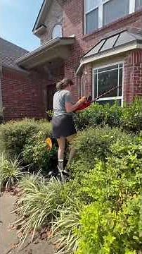 Can a Beginner Really Trim Shrubs This Easily?: CRAFTSMAN V20 Cordless Hedge Trimmer, 20 inch, Bare