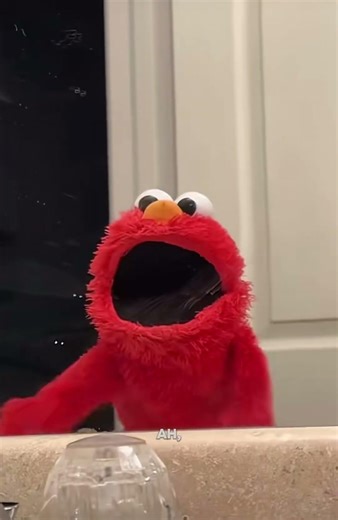 #elmo elmooo #memes #funny