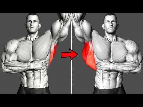 5 Back Exercises That Transform Beginners FAST