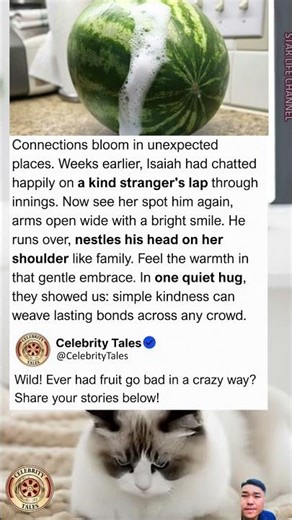 Fermenting Watermelon Explodes in Garbage