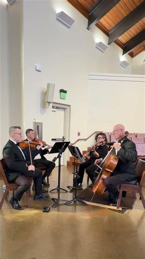 Vivaldi’s Winter ❄️ | Powerful String Quartet Performance 🎻🔥