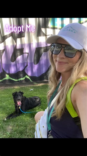 Meet adorable Midnight, an 8 month old border collie, adoptable at Salt Lake County Animal Services that I snagged out the shelter for some fun! So stinking cute watching her ears flop as she walks haha! She saw a dog & just sat down, wouldn’t move, waiting to say hi & wanted to follow them after meeting lol. She loved playing with a grasshopper, getting loves from anyone willing to give some, exploring, relaxing with belly rubs in the shade, & getting a burger at the end. Come meet this cutie! 