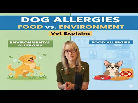 Dog Allergies 101: Food vs. Environmental