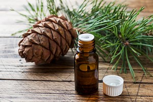 How To Dilute Cedarwood Oil For Dogs? ( Benefits Of Cedarwood Oil)