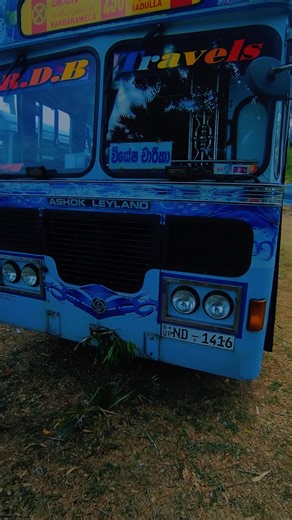 bus hub lk on TikTok