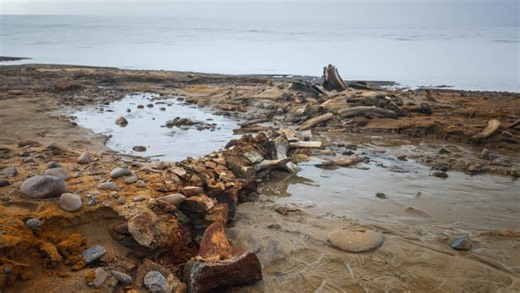 Ancient whale 'graveyard' discovered under melting Russian glacier