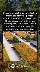 83K views · 3.9K reactions | Inspiring innovation! Japan’s floating gardens on parking lot roofs are transforming urban spaces, creating beautiful oases while providing vital habitats for bees and other pollinators. A step toward greener cities and a healthier planet!  | I love Gardening | Facebook