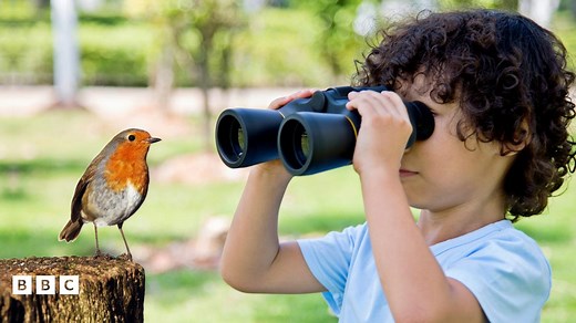 Get bird spotting with your little one