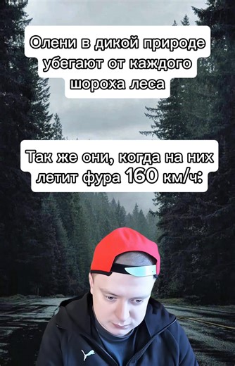 #мем #прикол #угар #олень #дорога