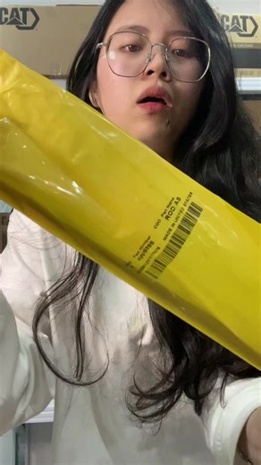 Understanding Fuel Injectors in Engine Assembly