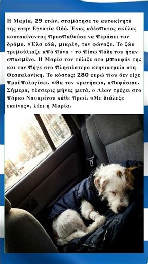 Η Μαρία και ο Αδέσποτος