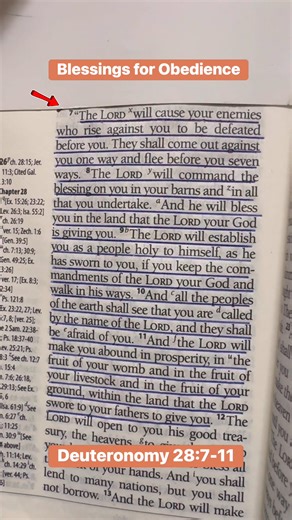 “Blessings for Obedience” Deuteronomy 28:7-11 #Jesus #bibleverse #ThankYouLord #blessings | The Bible Verses