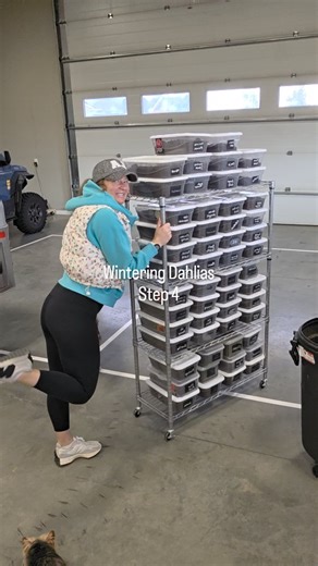 26 reactions · 3 comments | After all 53 dahlia varieties from...