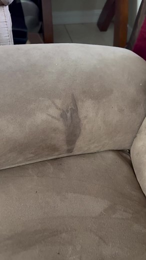 165K views · 4.4K reactions | Save Money ..DIY UPHOLSTERY Cleaner Did you know … That 6 cups of hot water  a tablespoon of dawn dish detergent and 1/4th cup of peroxide makes an awesome upholstery cleaner… #upholsterycleaning #sofa #sundaycleaning #fyp #explorereels #workingonmythicknessblog #dailylife #helpfultips#explorepage #reels #moneytree | Working On My Thickness | Facebook