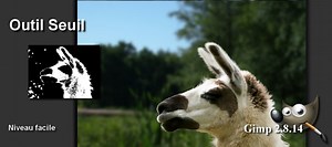 TUTO Détourage complexe dans Gimp avec l'outil seuil sur Tuto.com