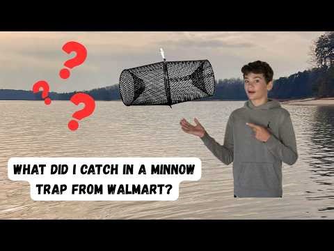 What did I catch in a minnow trap from Walmart?