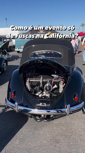 Web Classics on Reels