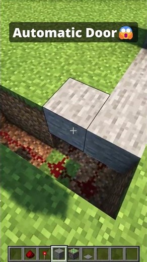 Minecraft Secret Door😱 #shorts #minecraft