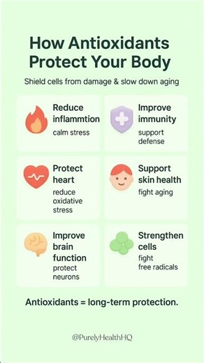 Antioxidants Explained: Why Your Body Needs Them Daily