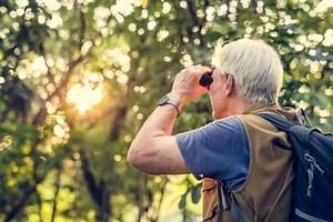 2020 Guide to Birdwatching for Seniors