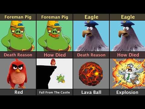 Angry Birds Character Death Reason And How Died