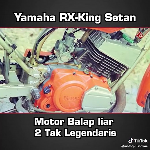 TikTok - Make Your Day