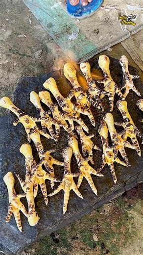 Jharkhandi Style Chicken Panje Recipe #adivasifood #jharkhand #ranchi #panje #shorts