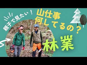 親子で見てほしい！「林業」という働き方