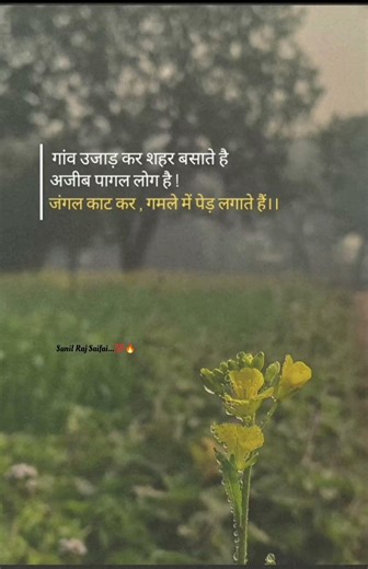 रोज आती हो तुम ख्यालों में ।।