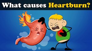 2K views · 103 reactions | Ever felt that burning feeling in your stomach and food pipe? When does that happen? Watch our video on #heartburn and find out!! | It's AumSum Time | Facebook