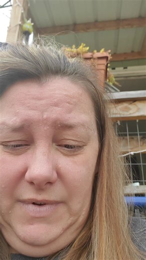 Backup Page Update: Goldie Live Streaming Restrictions