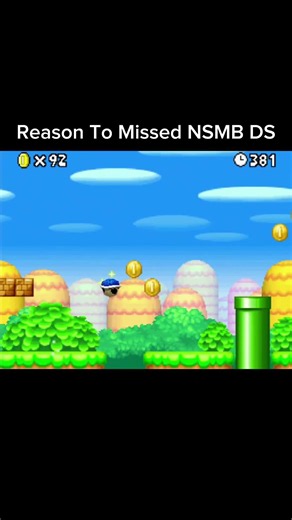 A reason to miss this NSMB DS