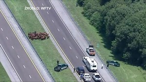 Wielki sukces Hurkacza. Federer pokonany