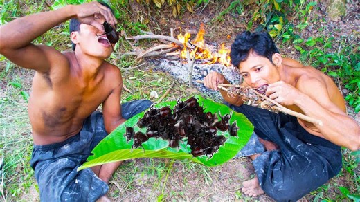 Hunting dung beetles and crabs – grilled dung beetle: A delicious insect feast