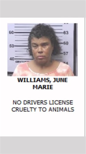 #mugshot #mobile #arrested #arrestedinmobile